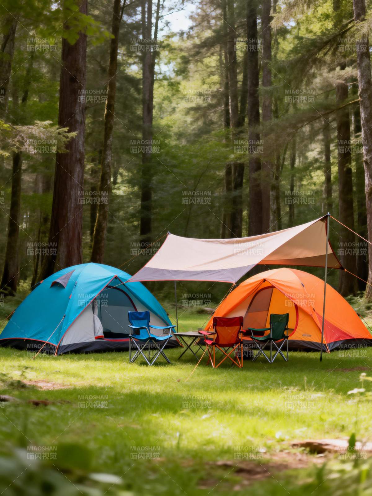 森林露营 惬意时光图片