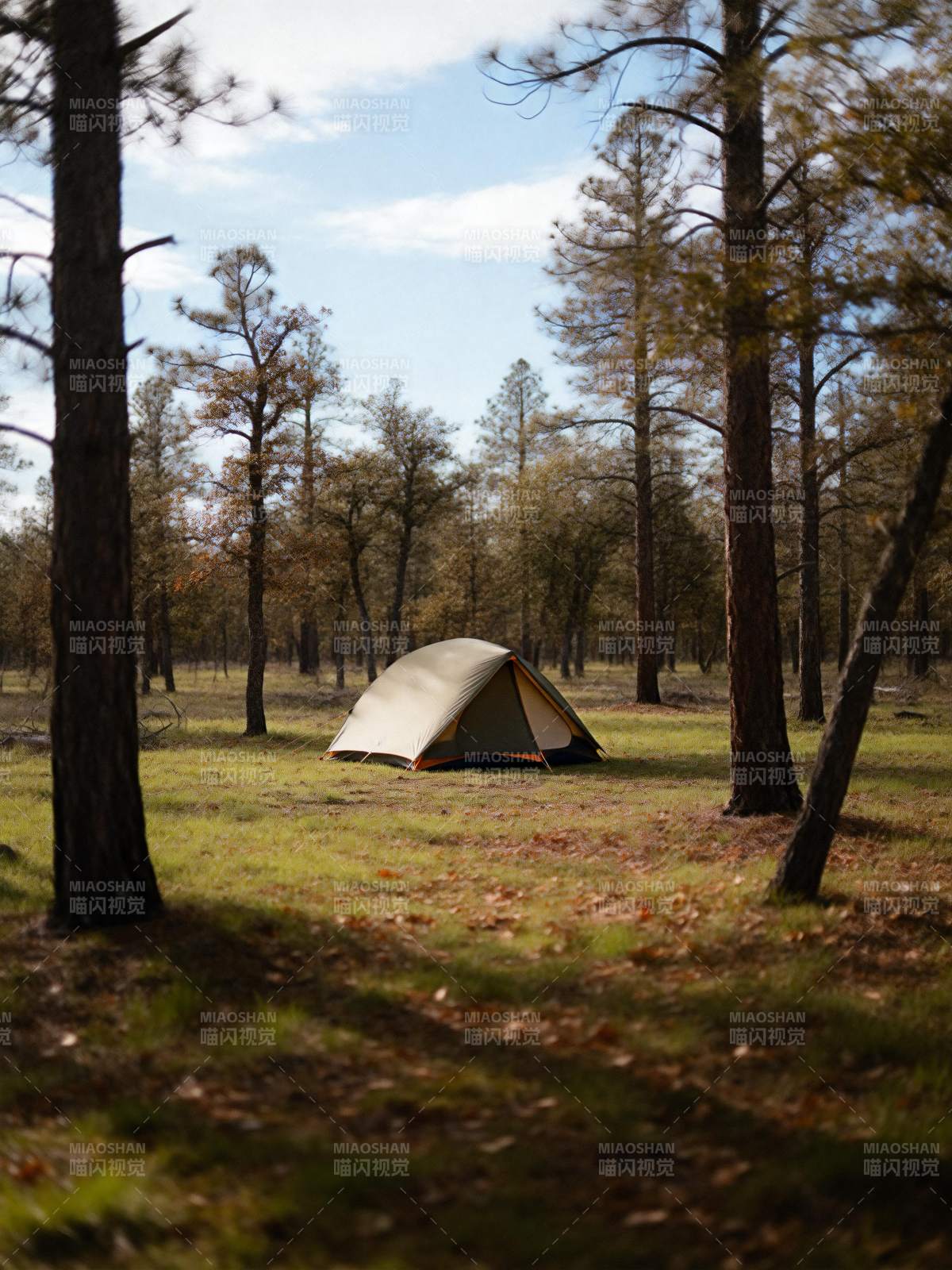 林间露营静谧时光图片