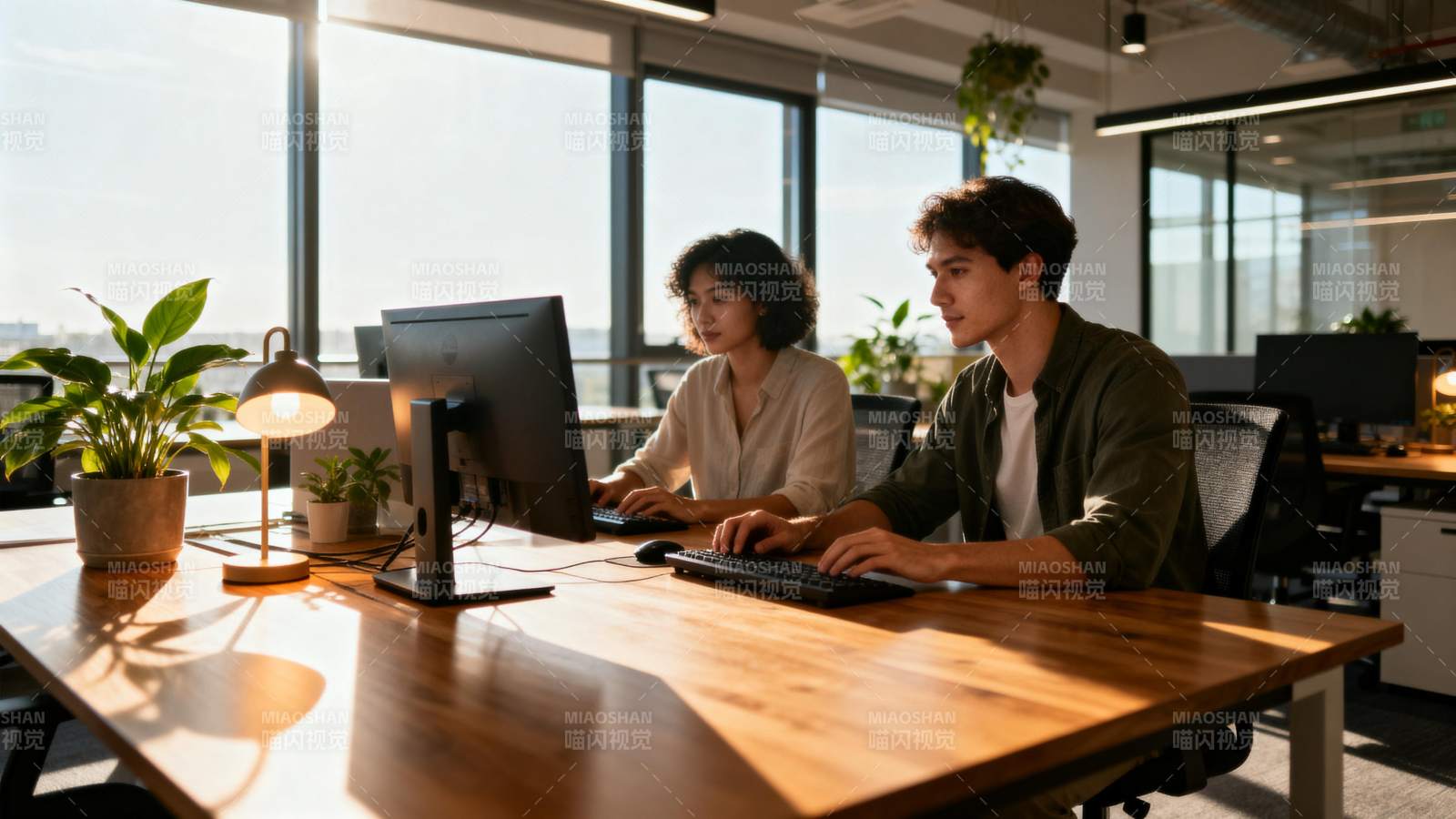 阳光下的办公时光图片