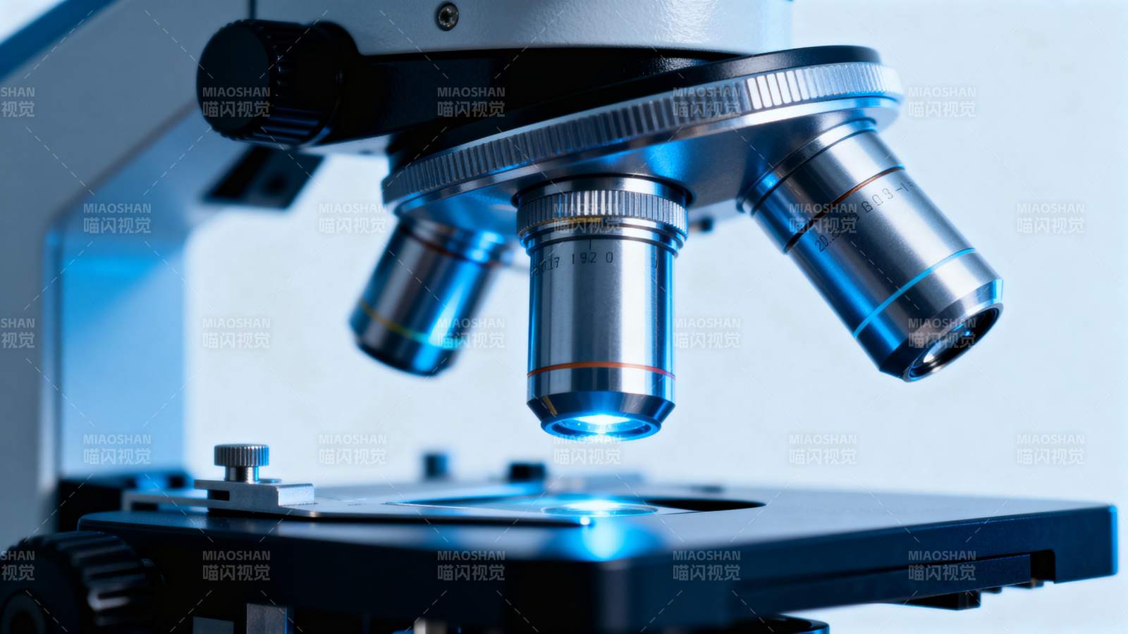 显微镜特写图片