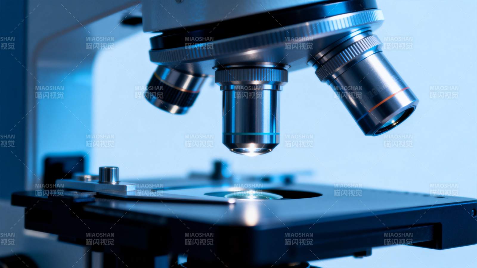 显微镜特写图片