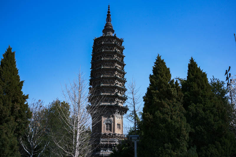 河北正定临济寺澄灵塔古塔耸立林间图片