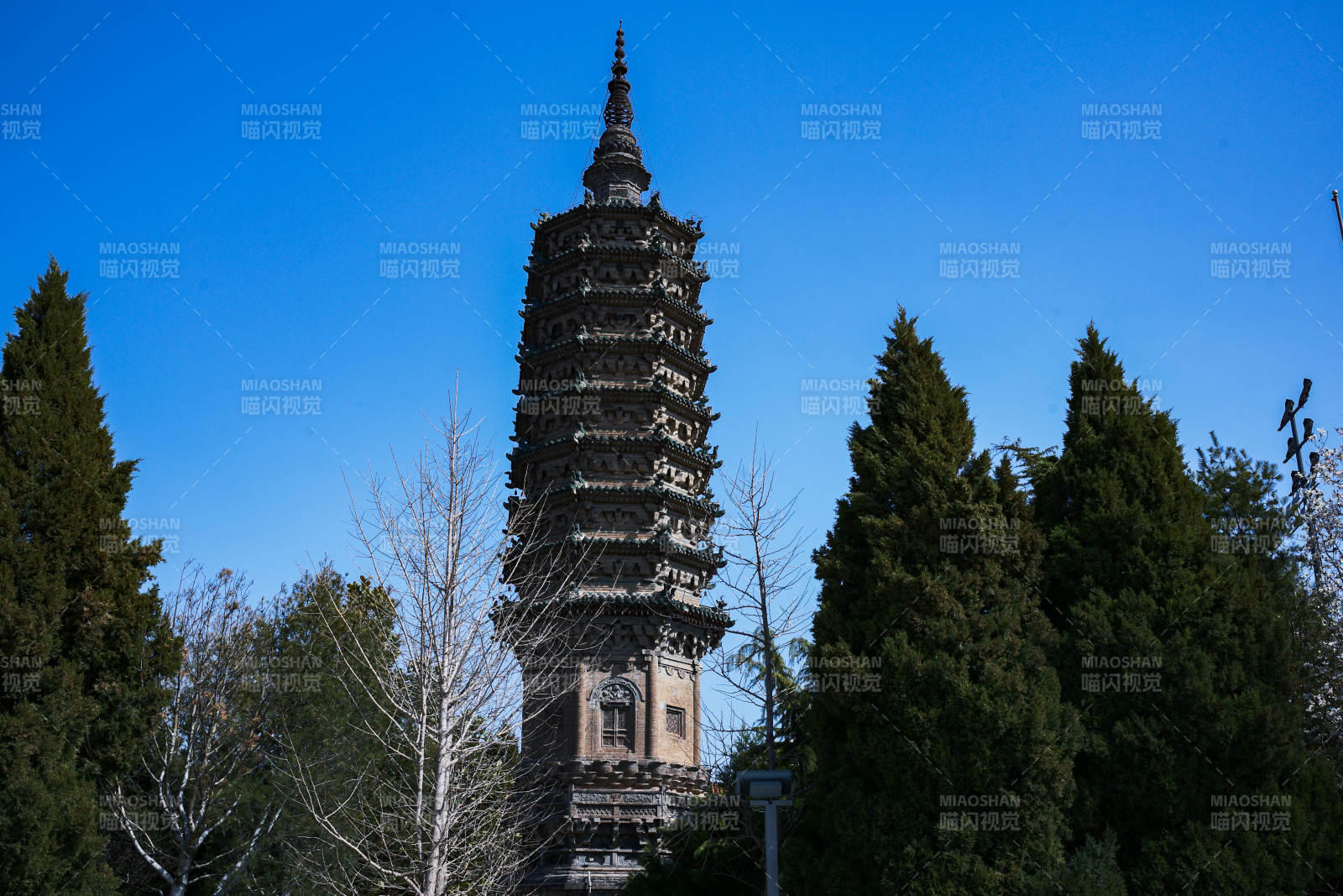 河北正定临济寺澄灵塔古塔耸立林间图片