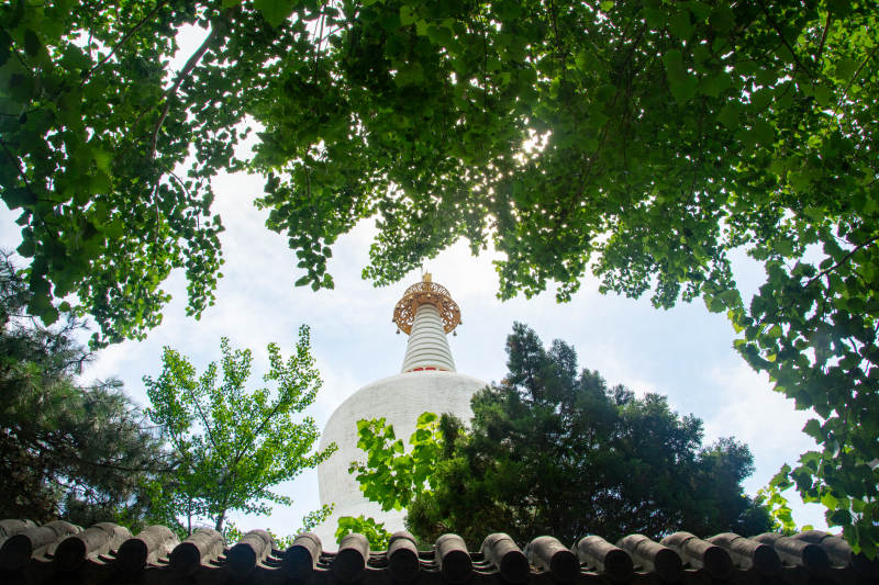 塔影绿荫间图片