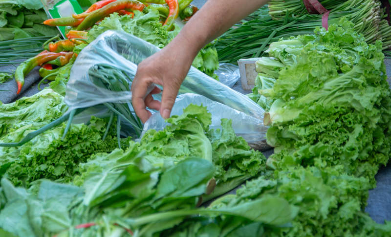 新鲜蔬菜市场图片