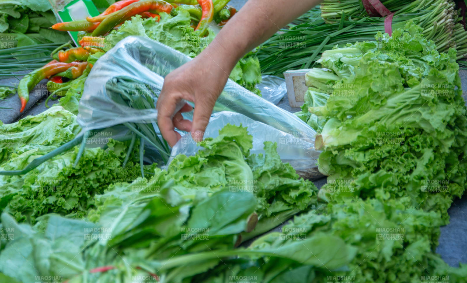 新鲜蔬菜市场图片