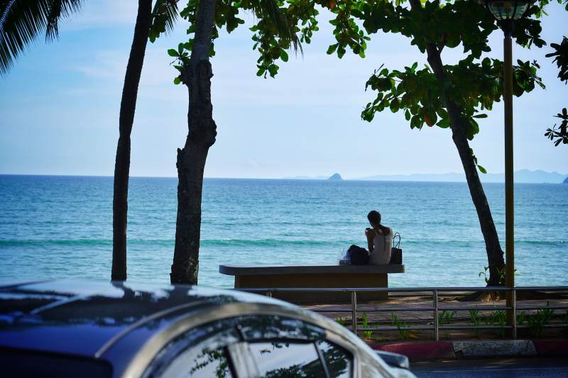 海边静坐 树影婆娑图片