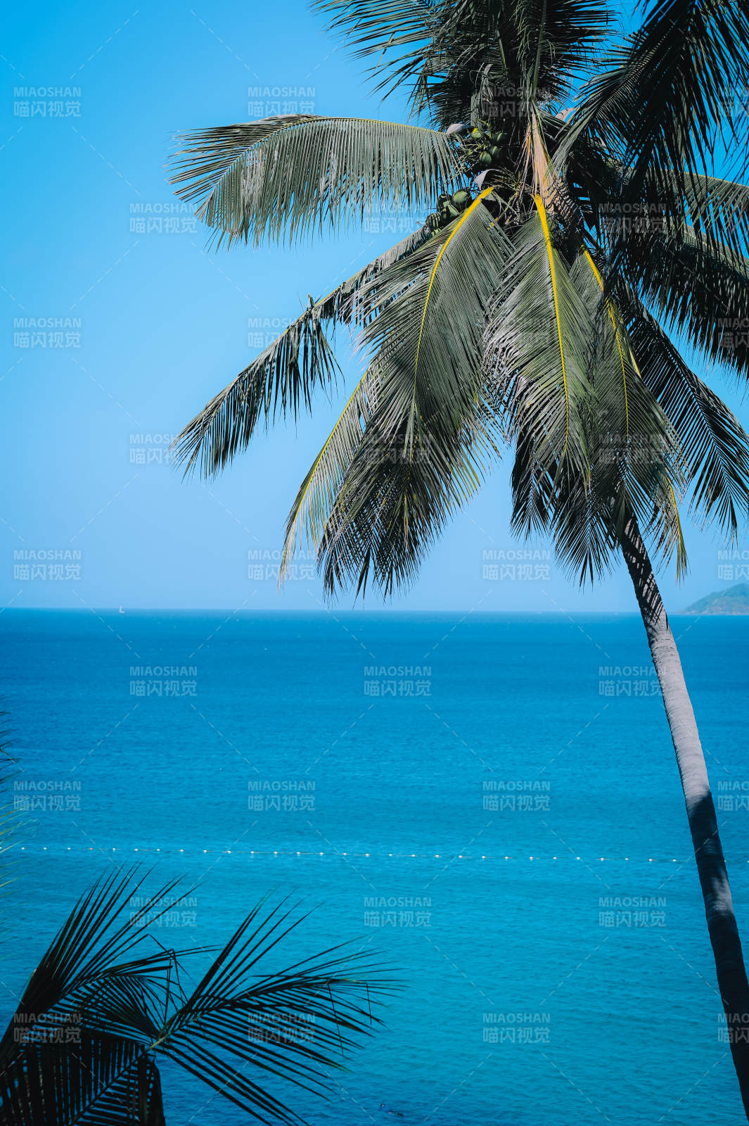 普吉岛椰风海韵图片