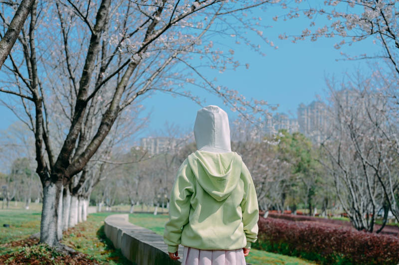 春日公园散步图片