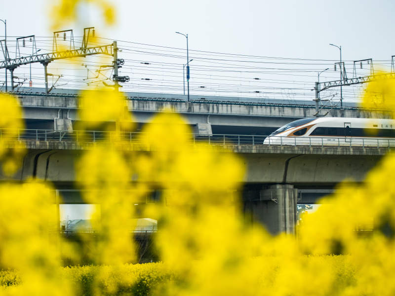 高铁穿花行图片