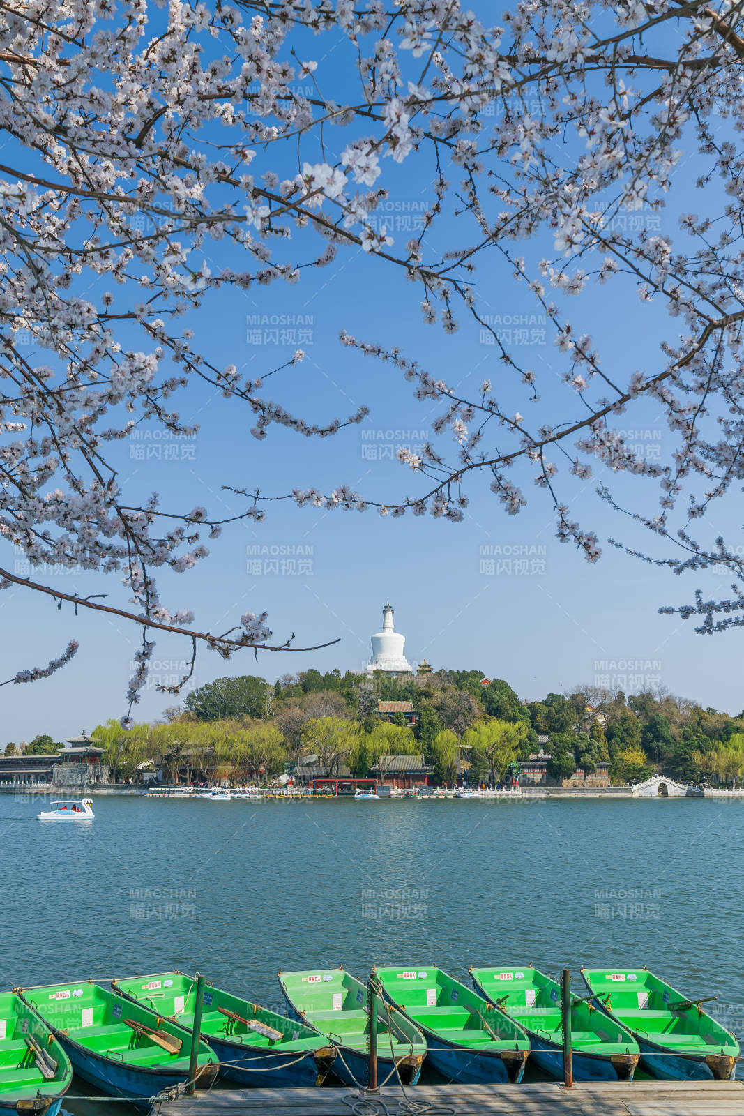 春日湖畔樱花盛开 北海公园图片