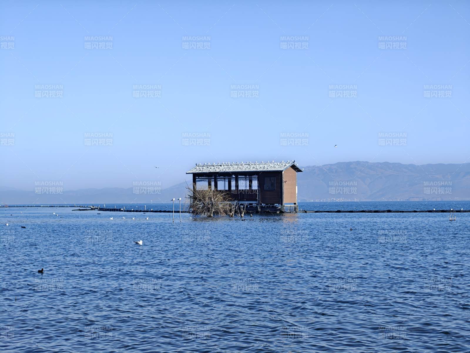 湖中孤屋静谧景图片
