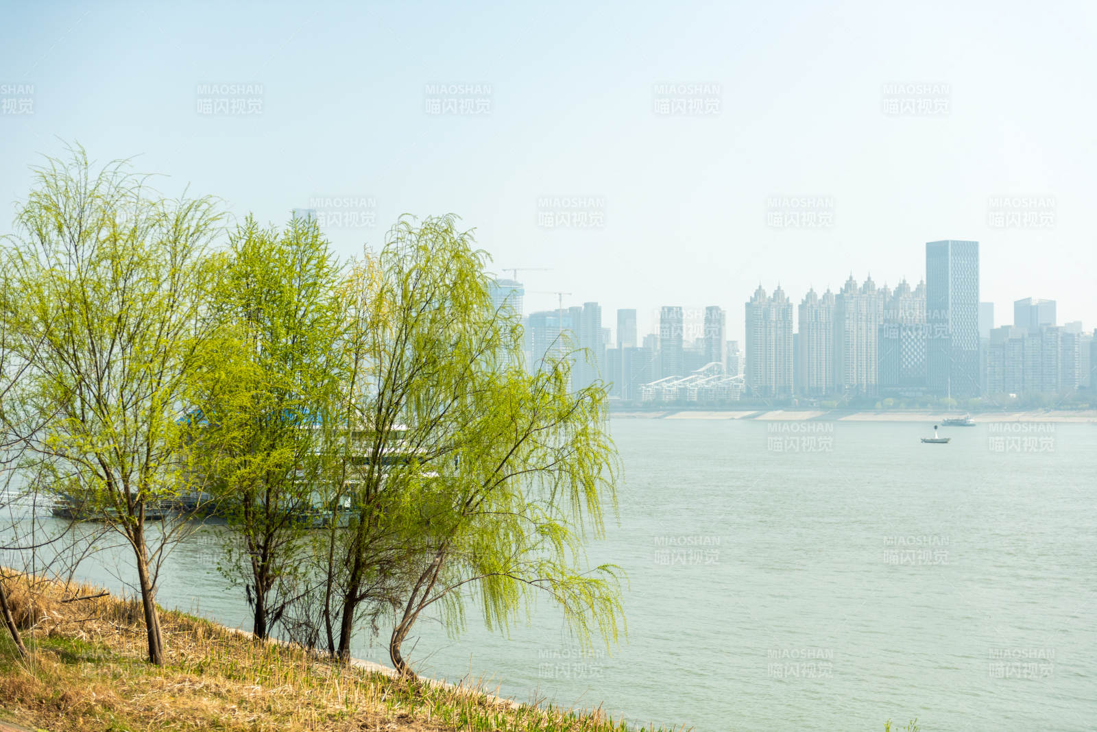 江畔春景城市远眺图片