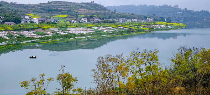 湖畔春景如画图片
