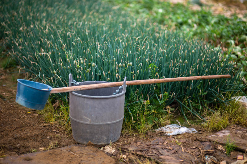 田园农具静景图片