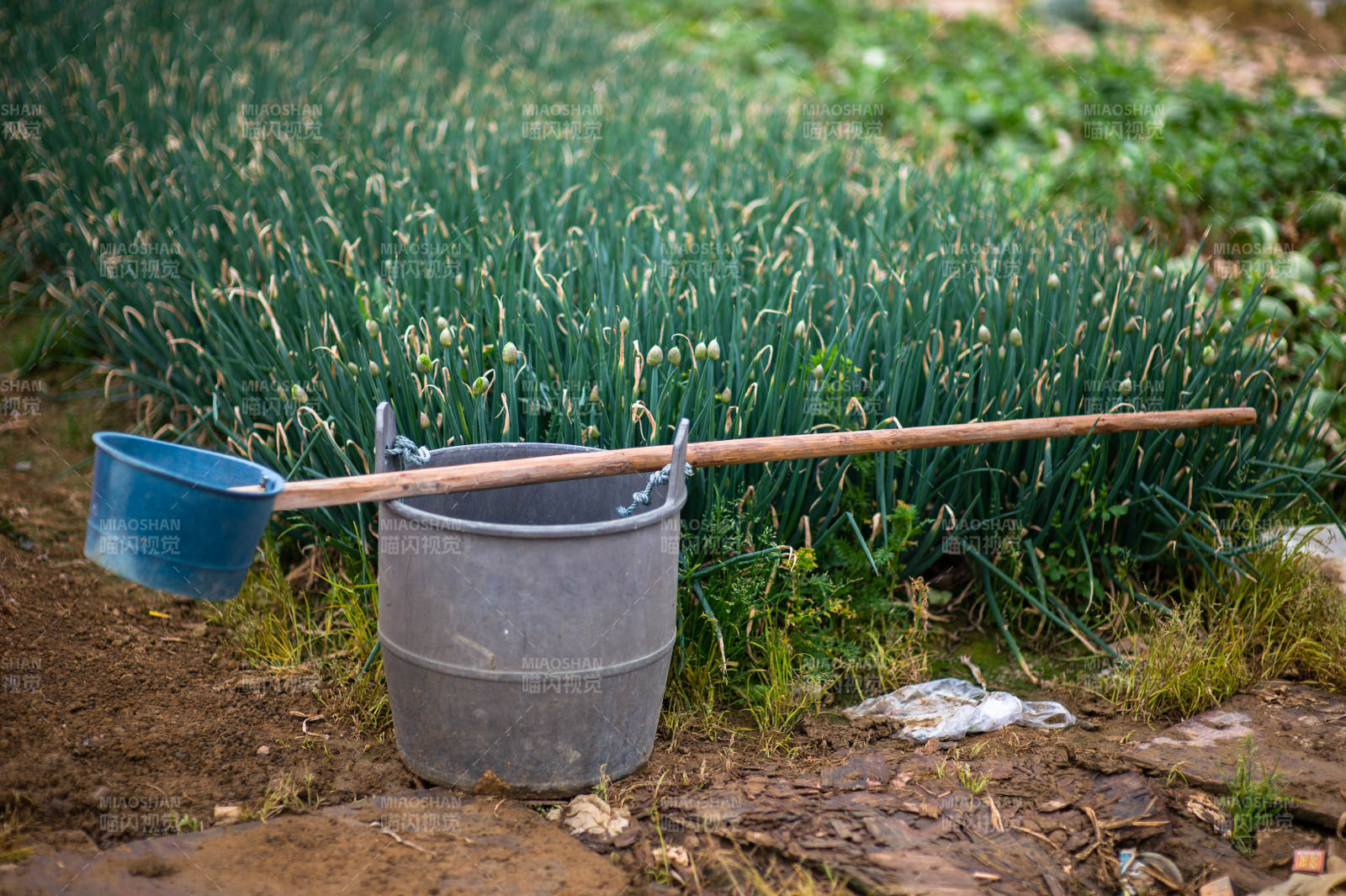 田园农具静景图片