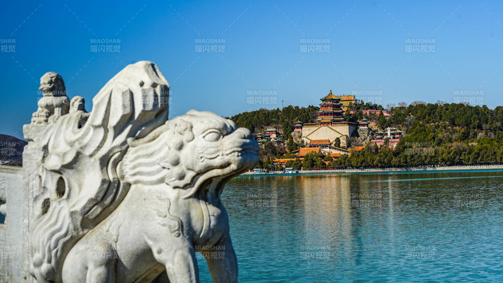 颐和园湖畔石狮图片