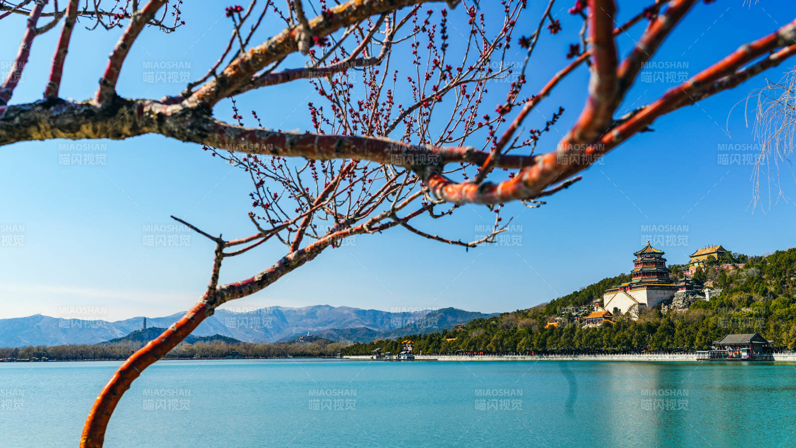 颐和园湖光山色映佛香阁图片