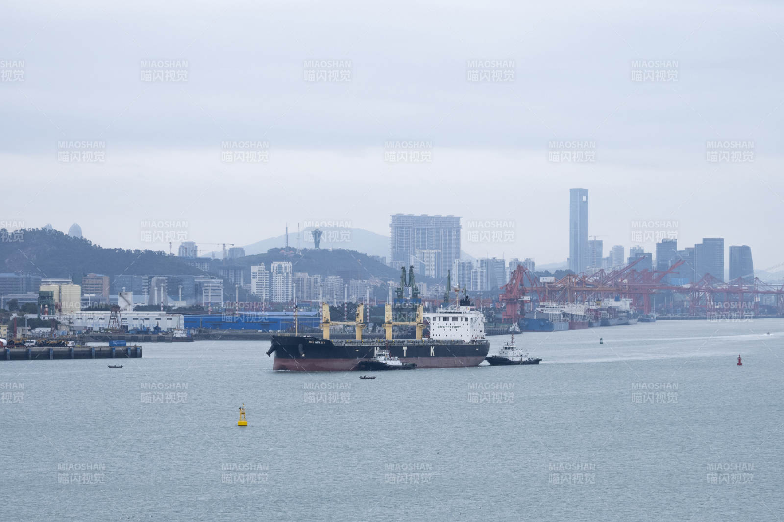 厦门港口货轮与城市天际线图片