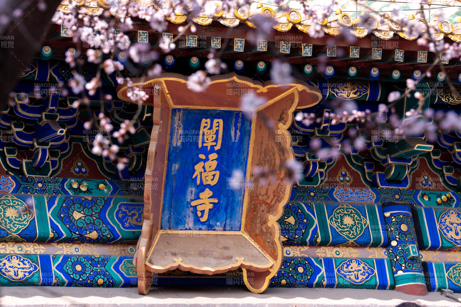 闡福寺春景图片