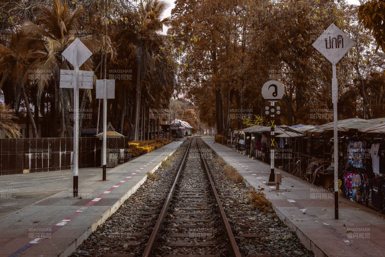 铁轨穿行林间小站图片