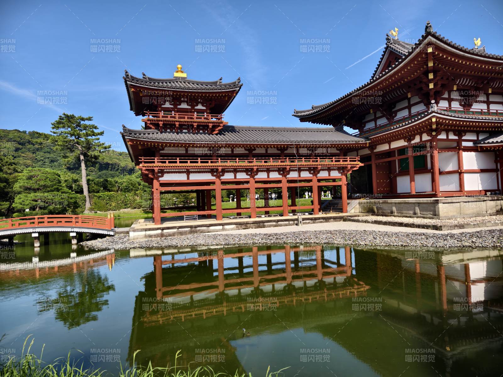 古寺映水 静谧悠然 宇治凤凰堂图片