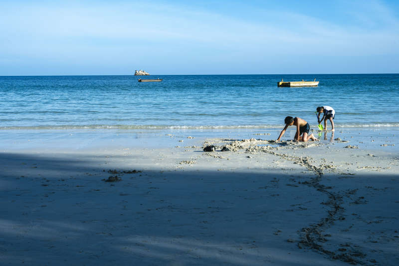 沙滩上的欢乐时光图片