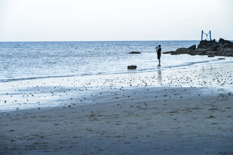 海边独行者图片