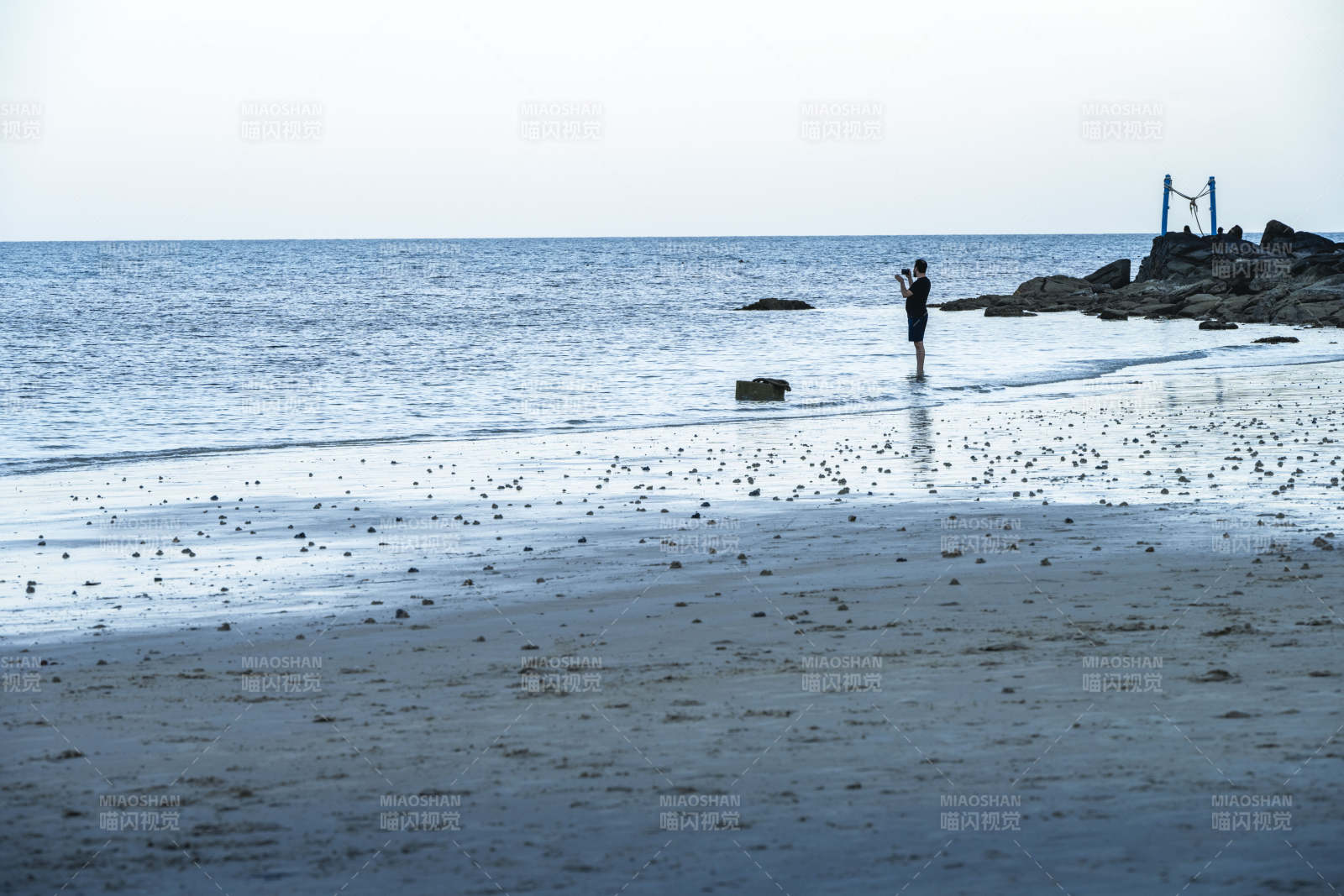 海边独行者图片