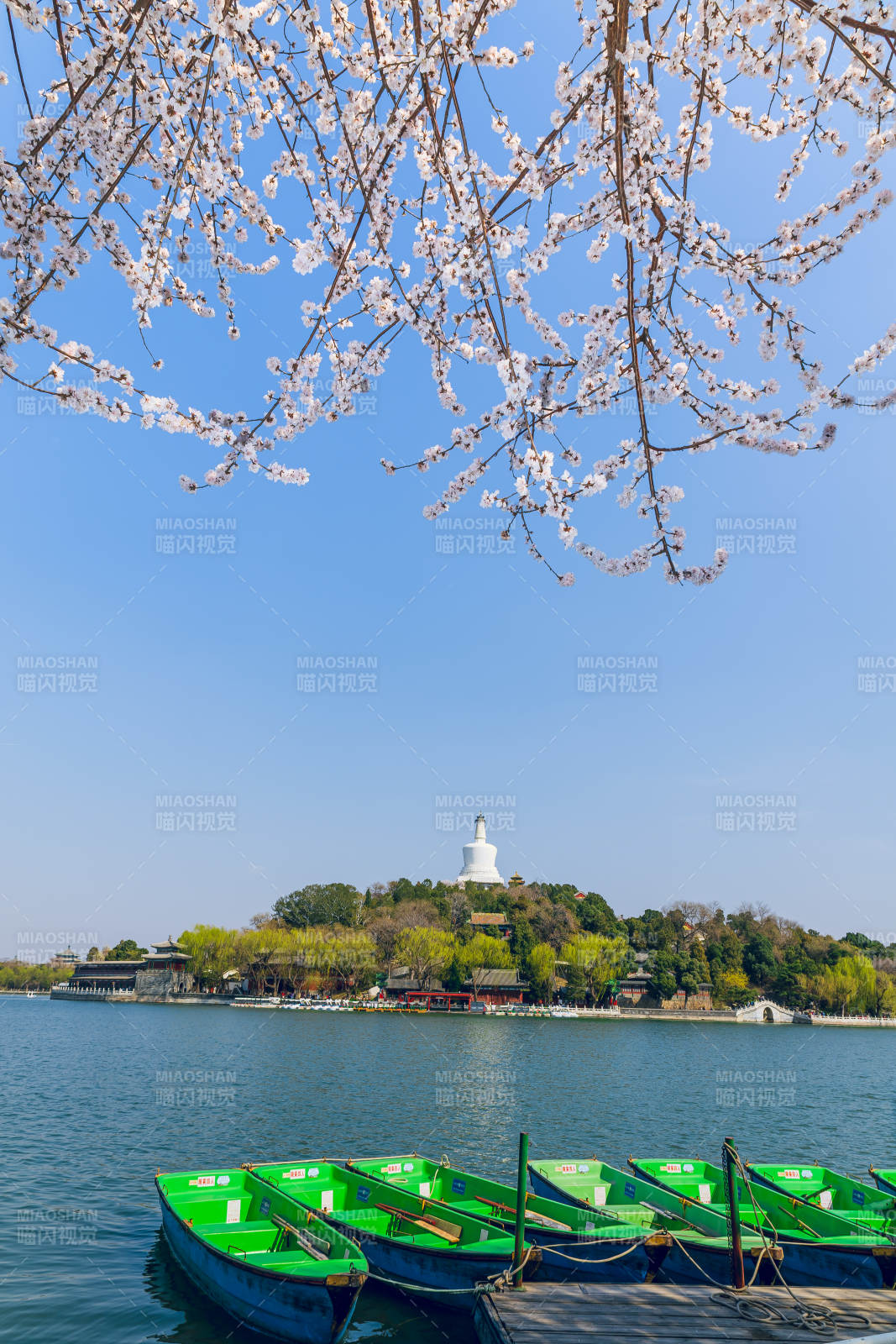 春日湖畔赏樱景 北海公园图片