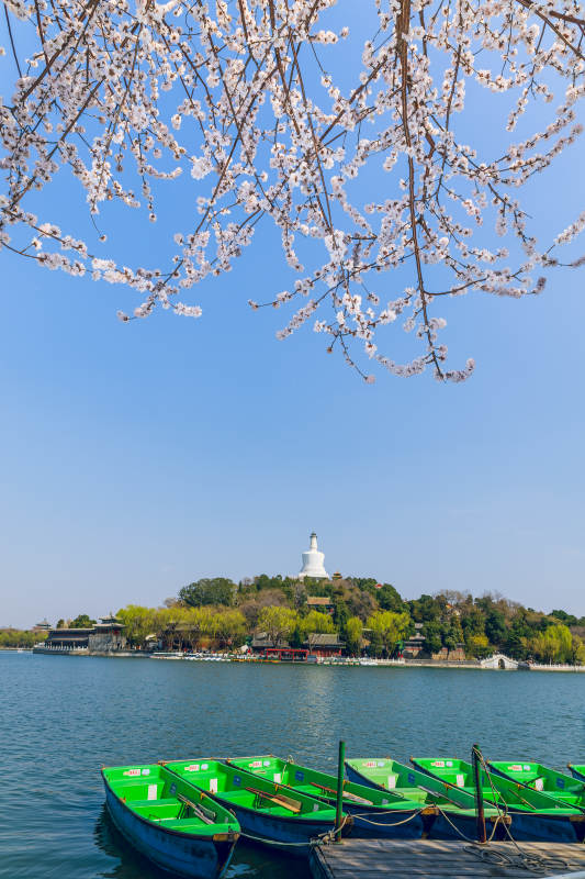 春日湖畔赏樱景图片