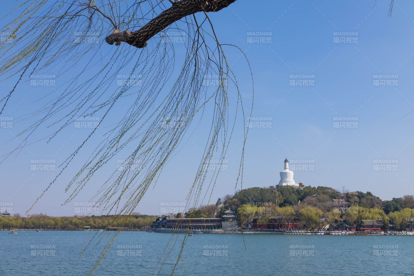 白塔湖畔春景 北海公园图片