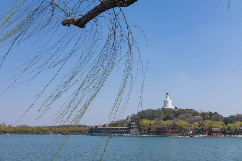 白塔湖畔春景图片