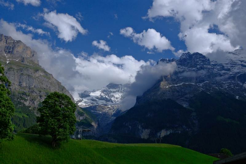 雪山绿野云海图片