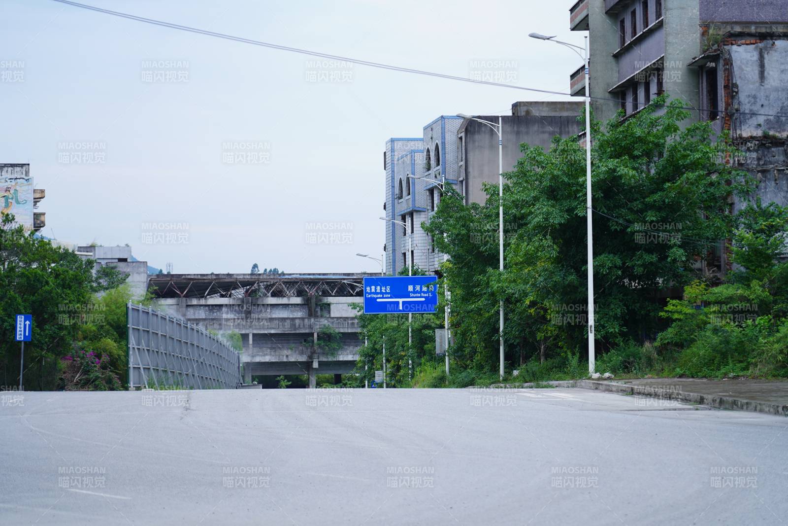 汉旺地震废弃建筑与绿植图片