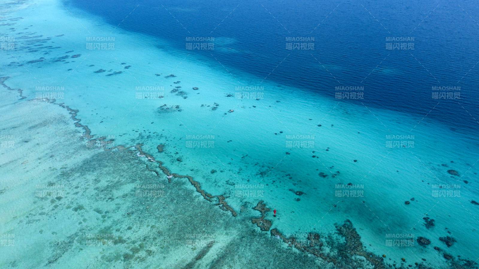 西沙群岛碧海珊瑚礁图片