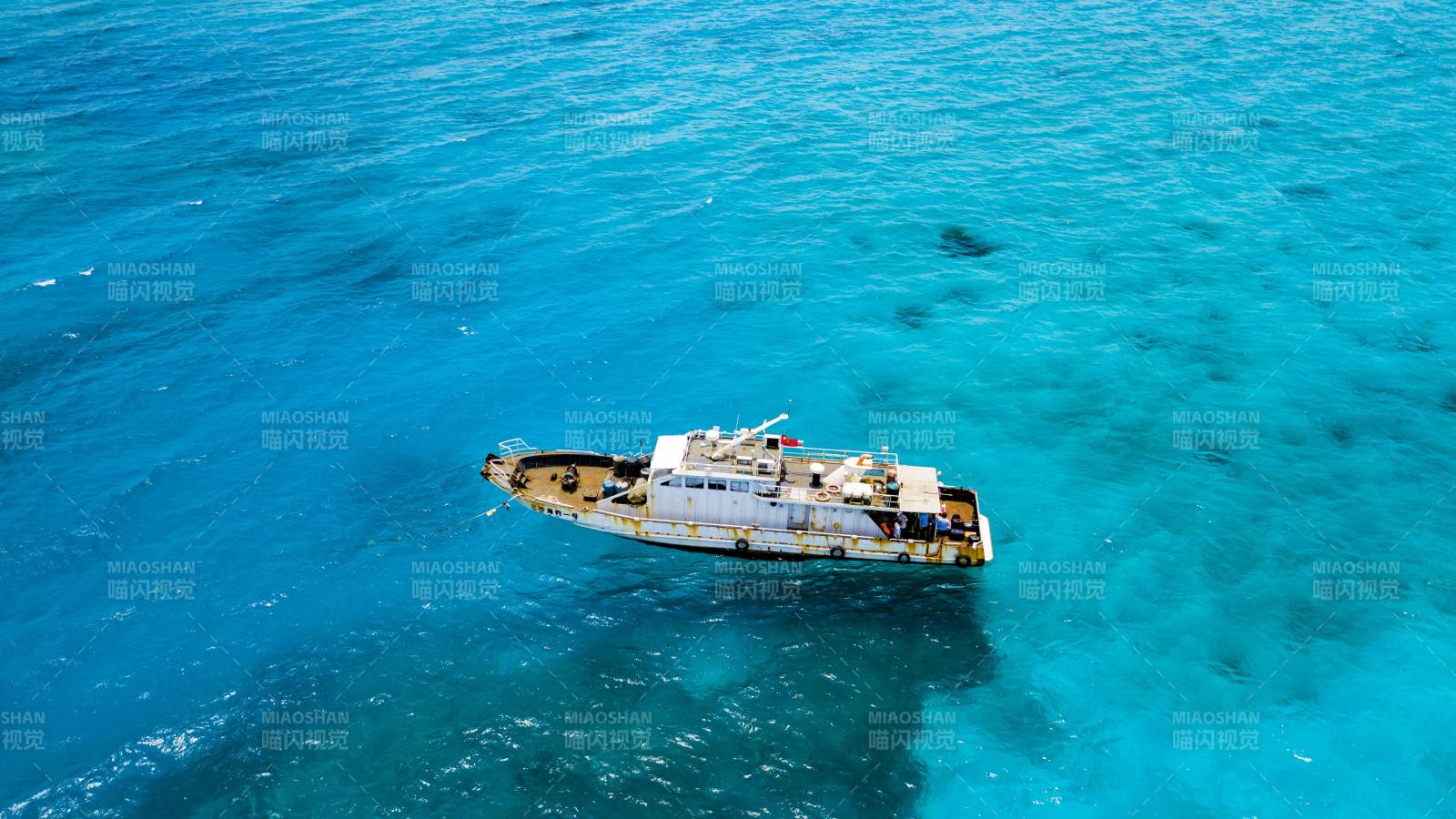 西沙群岛碧海中的白色游船图片