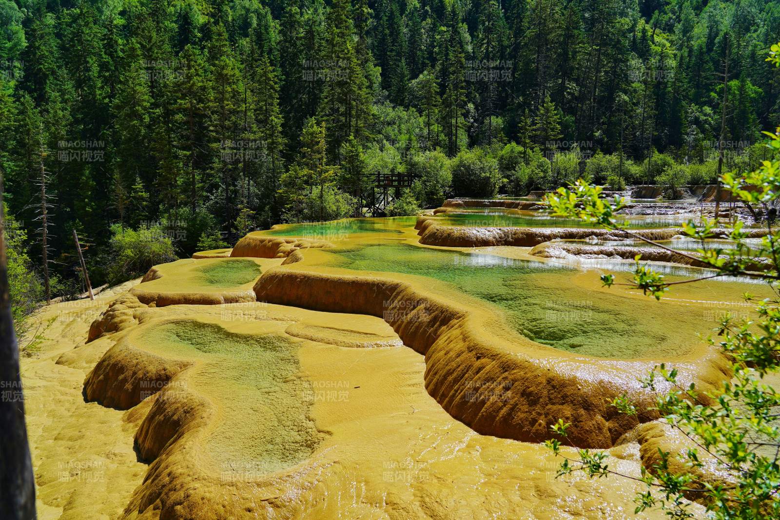 神仙池奇观图片