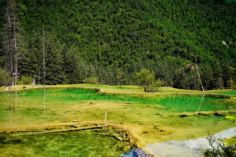 绿野山间静谧湖图片