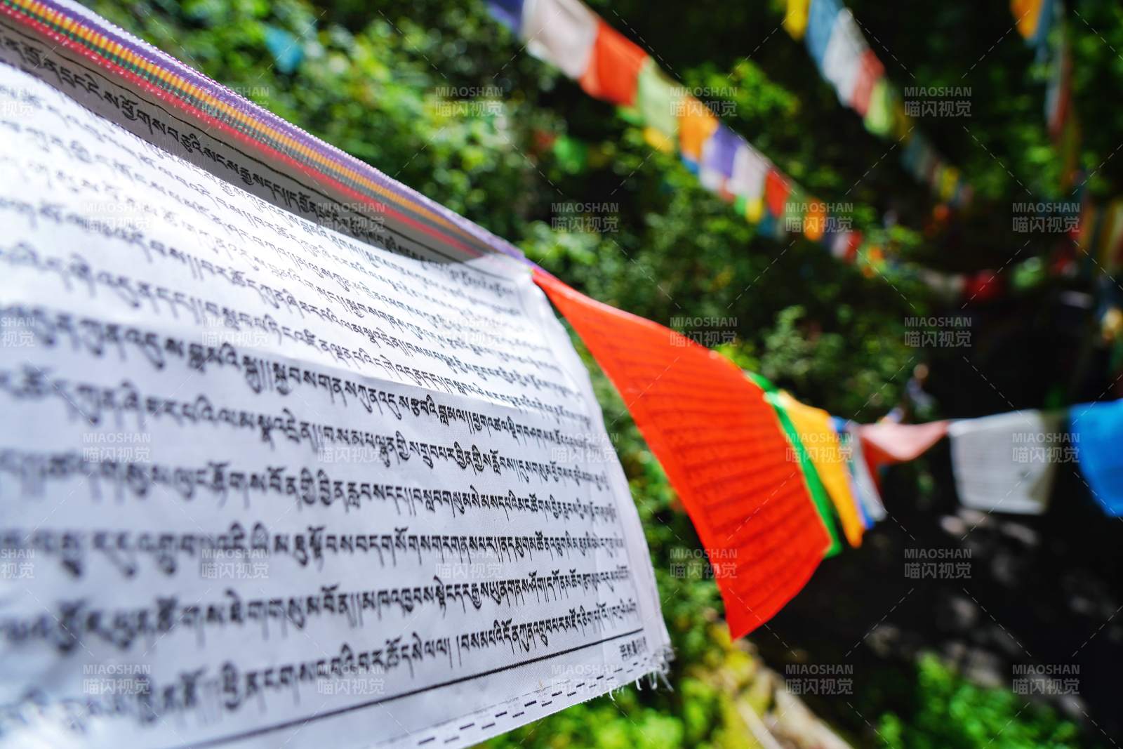 经书与彩旗飘扬图片