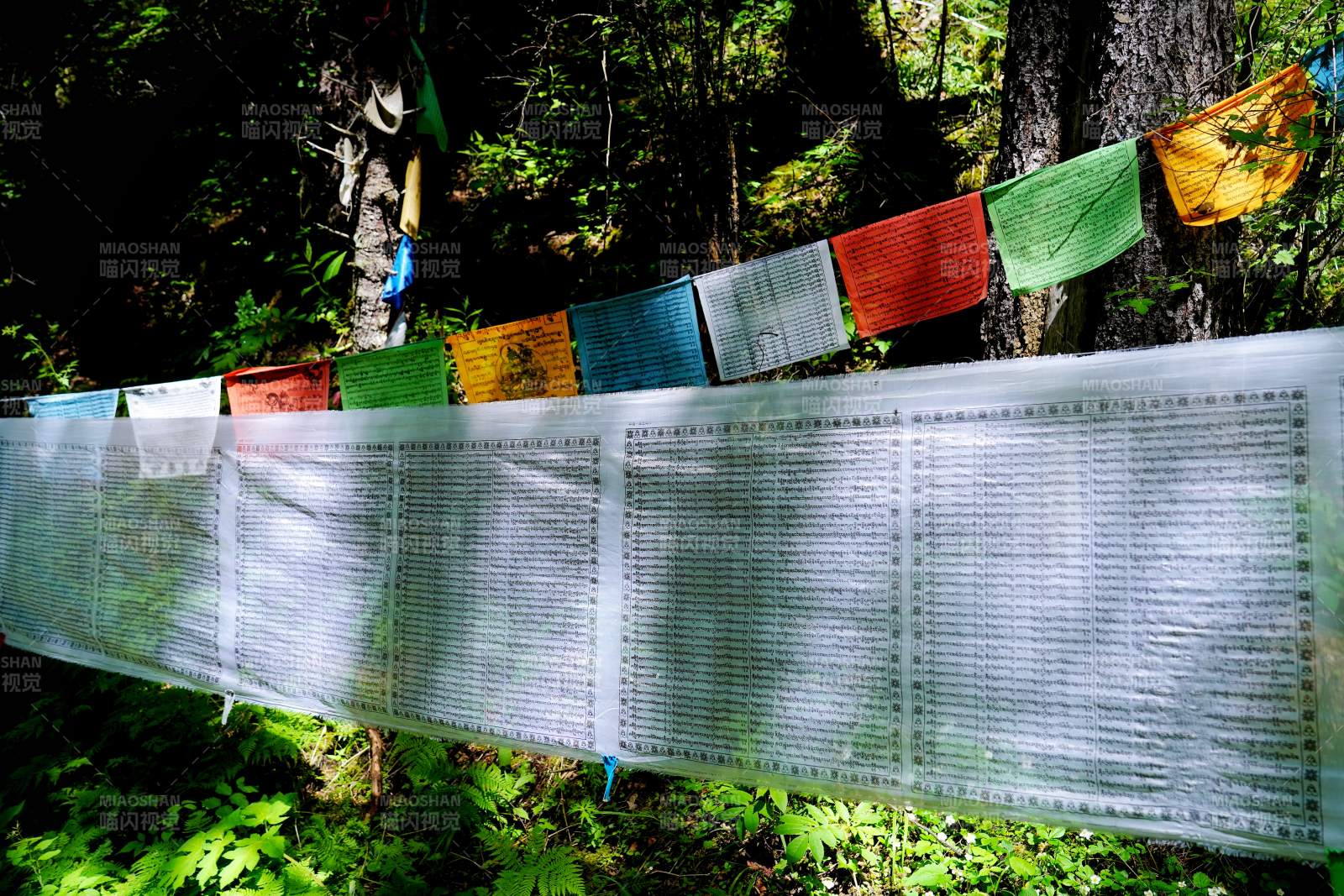 林间经幡飘扬图片