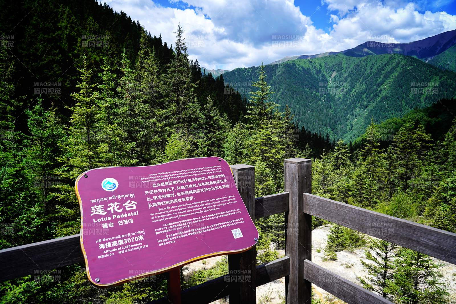 莲花台观景台图片