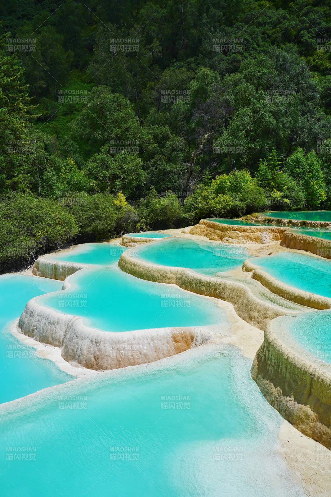 神仙池碧水梯田 绿意盎然图片