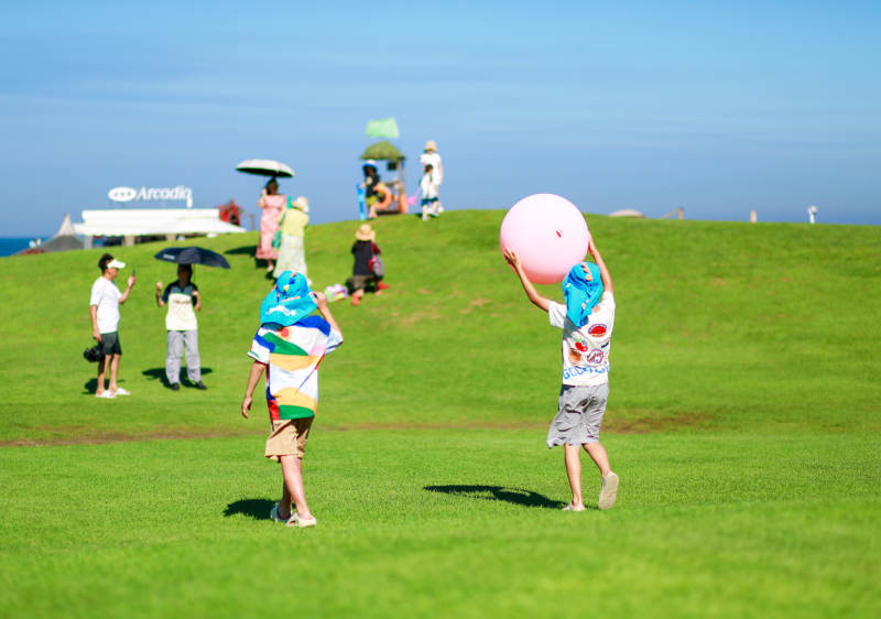 草地上的欢乐时光图片