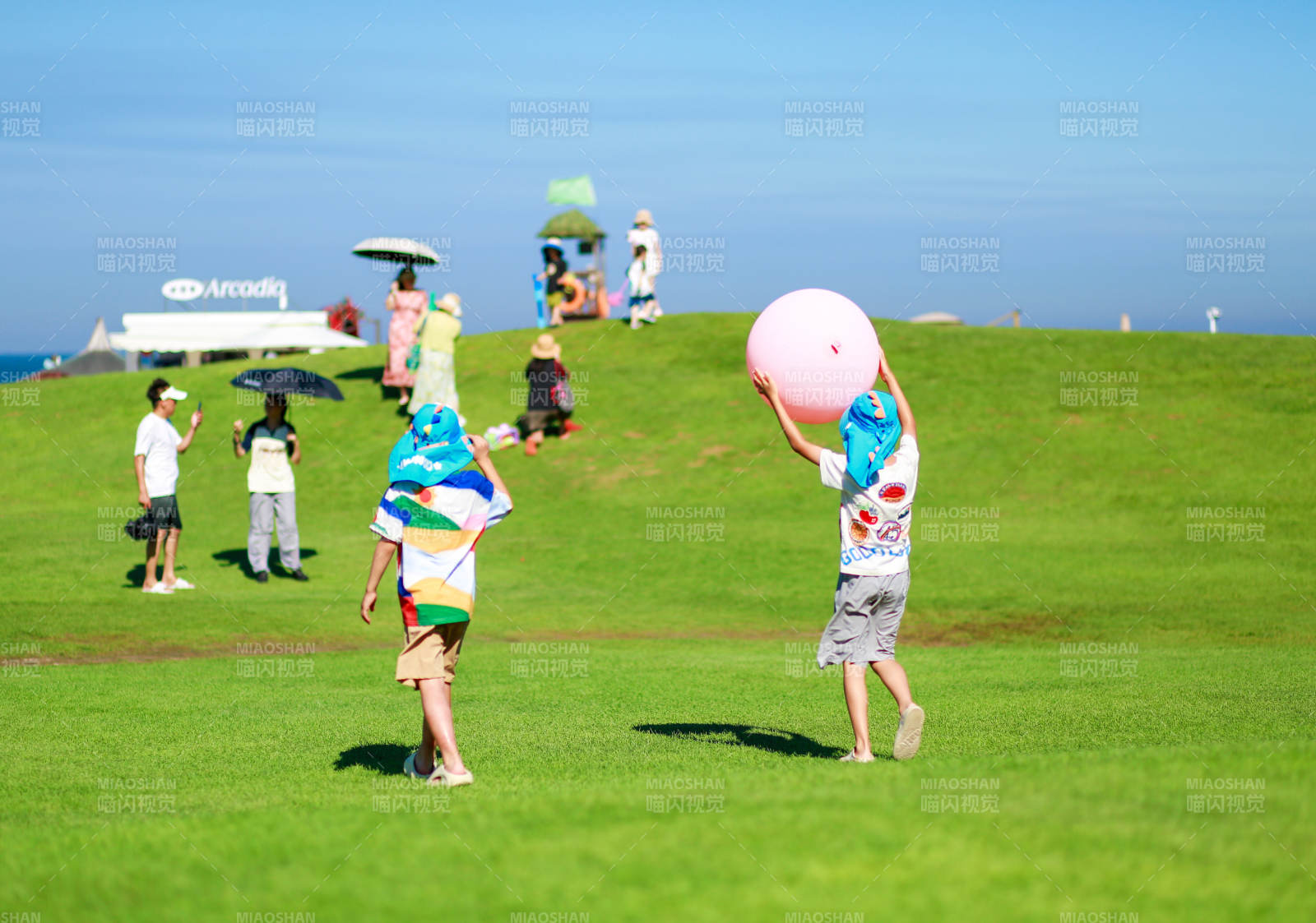 草地上的欢乐时光图片