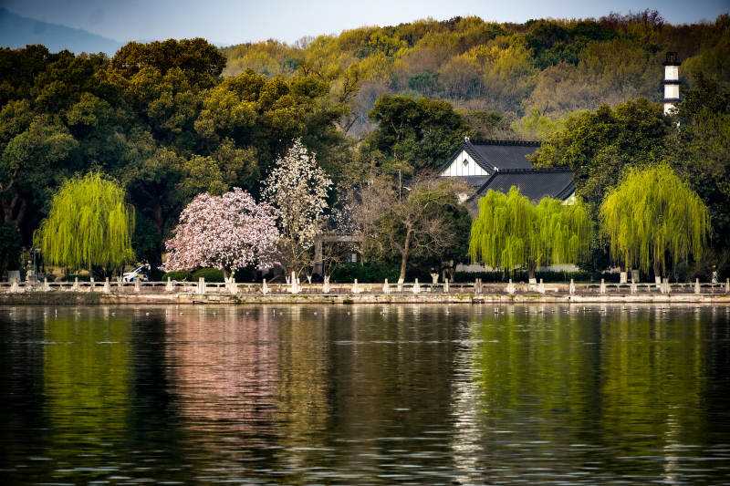 湖畔春景如画图片