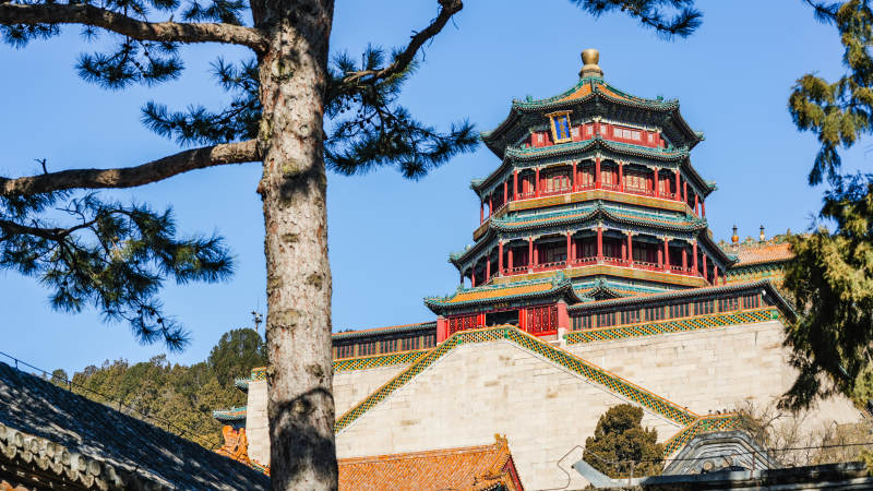 古塔映松 晴空如洗图片