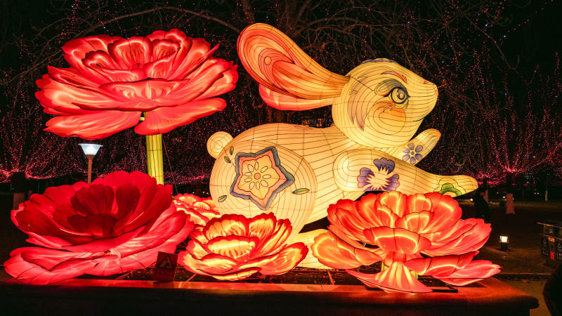 花灯兔影夜景图片