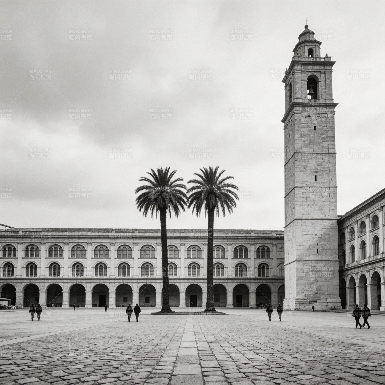 广场钟楼与棕榈树图片