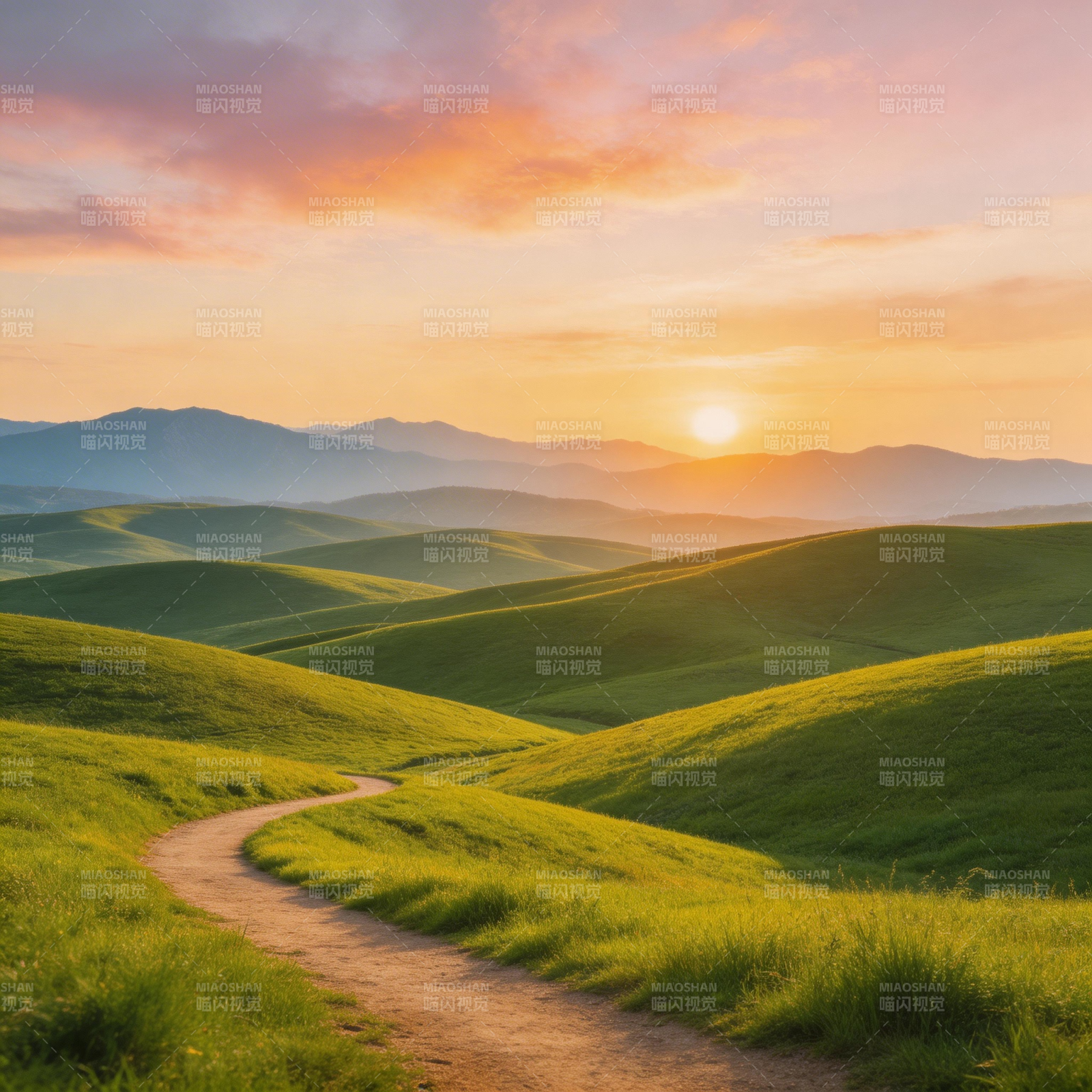夕阳下的绿野小径图片